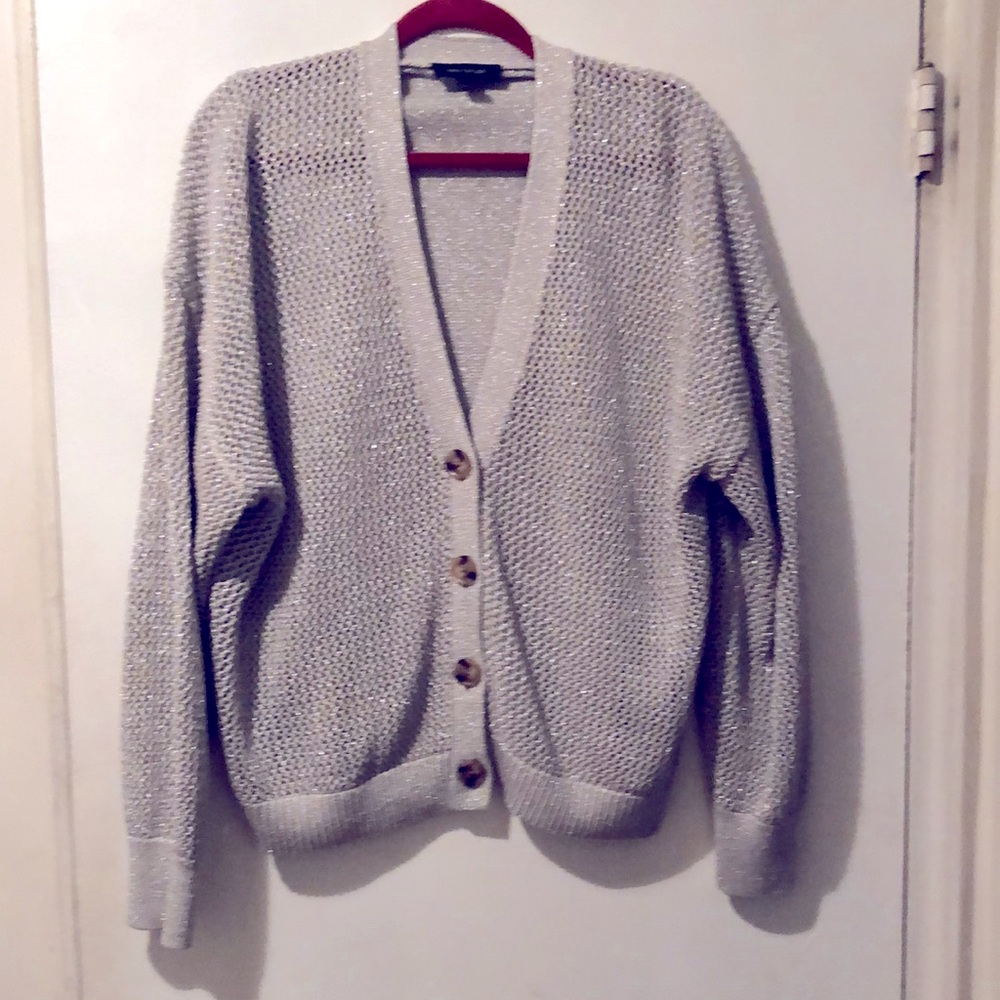 Ann Taylor Silver Cardigan